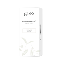 Diffuseur Rotins Thé Blanc 100ml - GALEO