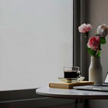 Film adhésif pour vitrage aspect dépoli givré 250x90cm - EASYPROTEC