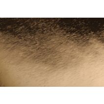 Adhésif industriel 1,5m 0,45cm or brosse