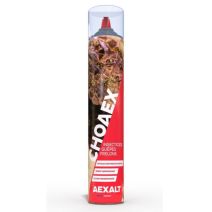 CHOAEX - Insecticide guêpes frelons - 1000 ml
