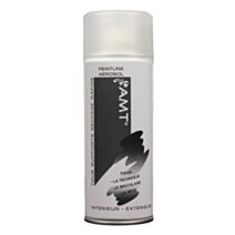 Peinture aérosol vernis mat - AMT