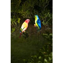 Perroquet solaire clipsable - GALIX