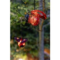 Coccinelle solaire - GALIX