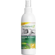 Herbe à Chat 125ml - ACTIPLANT'