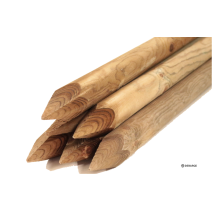 Piquet épointé en pin traité classe4 diam 60x2,5m