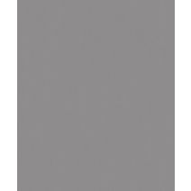 Papier Peint Vinyl Lourd Intissé Bering Souris Lisse 10x0,53m