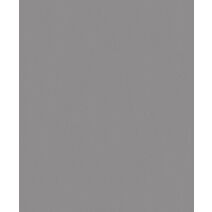 Papier Peint Vinyl Lourd Intissé Bering Souris Lisse 10x0,53m