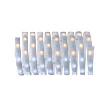 Strip MaxLED 250 Argent 3m 11,5W 24V Tunable White 
