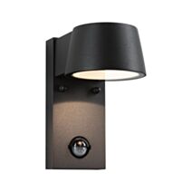 Applique extérieure Capea LED 6W 600lm IP44 - PAULMANN