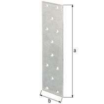 Platine multi-trous galv S 155x40x2