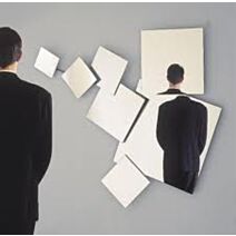 Miroir synthétique 50x100cm +/- 2 mm