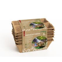 36 pots biodégradables 5 cm carré, 6 plaques de 6 pots - ROMBERG