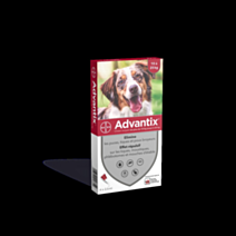Advantix chien 2,5 ml (10-25) plaq/4 sol ext