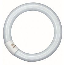 Tube fluorescent Circline G10q 32W active blanc froid
