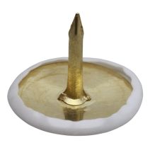 Punaise laitonnée, couleur : blanc