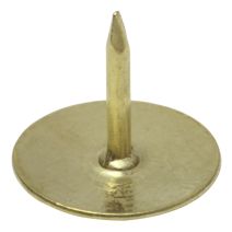 Punaise laitonnée