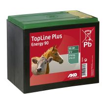 Pile 9 V Zinc-air 