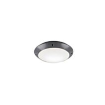 Plafonnier Camaro Plastique Antracite 26cm - TRIO