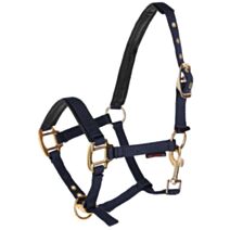 Licol TopLine Poulain bleu marine - AKO