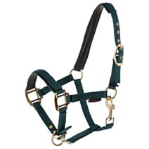 Licol TopLine Forest Poulain vert avec bouclerie dorée - COVALLIERO
