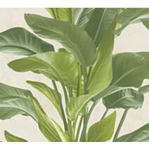 Papier Peint Vinyl Lourd Intissé Grd Feuillage Vert Ecru 10x0,53m