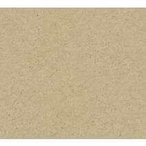 Papier Peint Vinyl Lourd Intissé Uni Barcelone Doré 10x0,53m