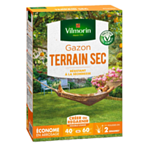 Gazon Terrain Sec 1kg
