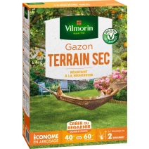 Gazon Terrain Sec 1kg