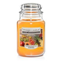 Bougie jarre parfumée fruits exotiques - YANKée CANDLE
