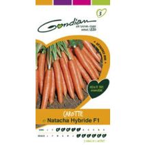 CAROTTE POTAGERE NATACHA HYBRIDE F1 (2 GRS)