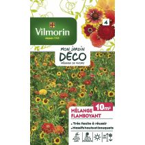 Mélange flamboyant