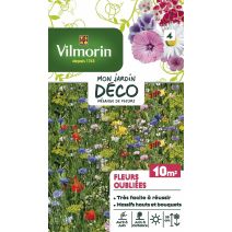 Mélange fleurs oubliées