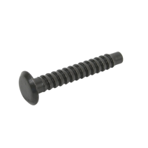 Vis pentures 7x45 mm (x20)