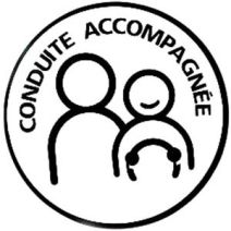 Disque électrostatique pour conduite accompagnée