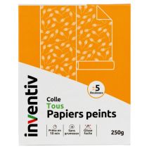 Colle tout papier peint décoration 250 g - INVENTIV