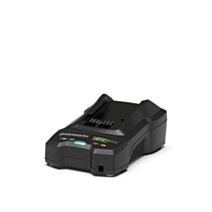 Chargeur Dual Voltage G4824CS 48/24V  - GREENWORKS