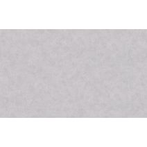 Papier peint expansé/intissé gris fer 5 - INVENTIV