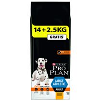 Croquettes Grand Chien Athletic Optibalance 16,5kg - PRO PLAN