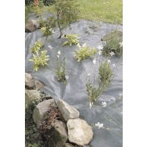 WEEDSOL Toile de paillage vert 2,10x25m