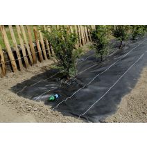Toile de paillage 125g/m² 1,25x10m