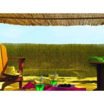 Paillon de roseau pelé Reedcane 1,50x5m - NORTENE