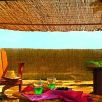 Paillon de roseau pelé Reedcane 2x5m - NORTENE