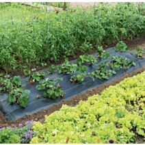 Toile de paillage spécial fraise 100gr/m² 1,50x5m - NORTENE