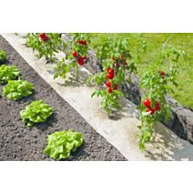 Paillage naturel 0,50x3m