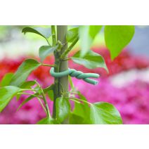 Lien mousse vert 5mmx5m