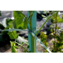 Raphia synthétique prédécoupé vert 200g