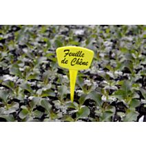 Étiquettes Label 15cm jaunes à planter x 10 - NORTENE