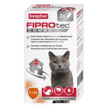 Pipette Fiprotec combo chat x3 - BEAPHAR