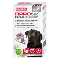 Pipette Fiprotec combo chien taille L x3 - BEAPHAR
