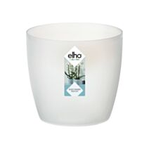 Pot de fleurs Brussels orchidée transparent Ø16cm - ELHO